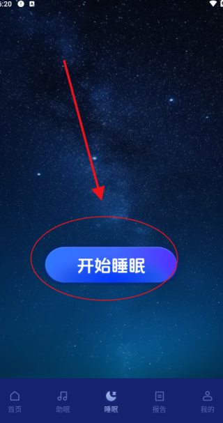 松鼠睡眠