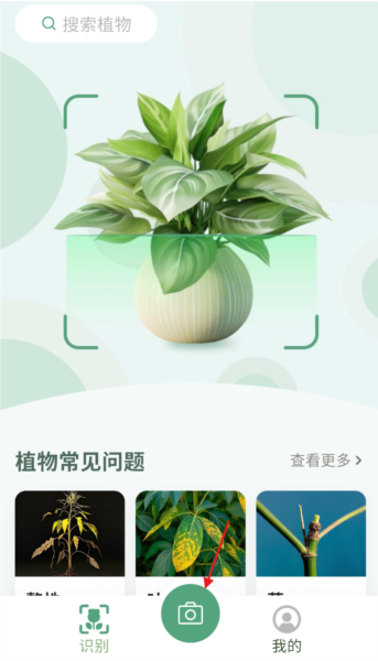 花草志